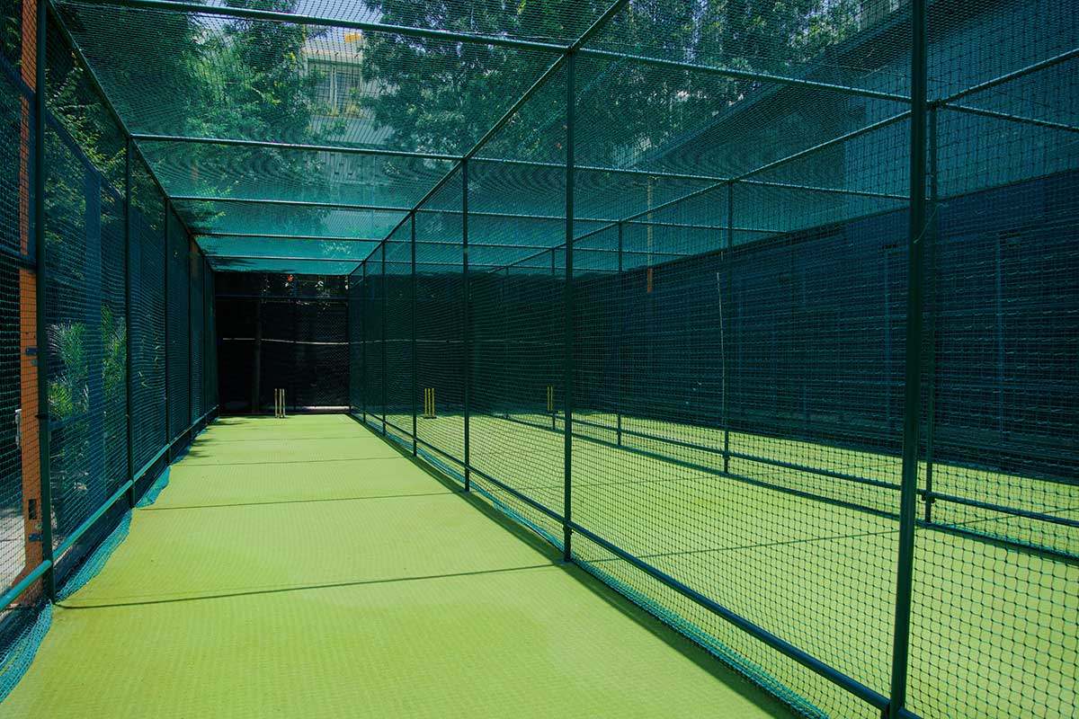 Cricket Training